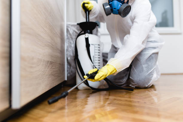 Flea Control Services in Clark Mills, NY