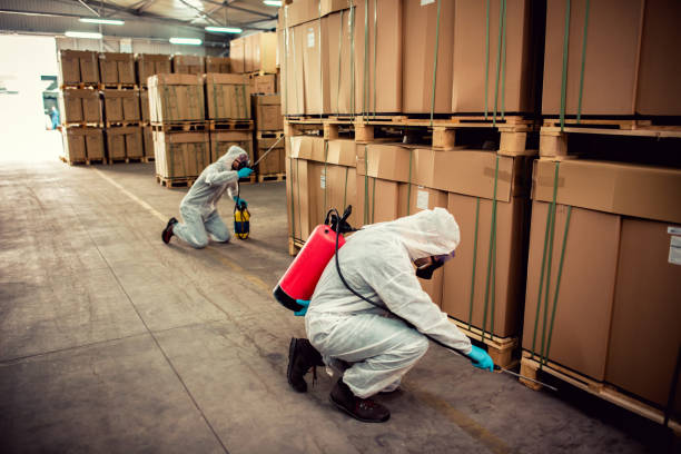 Best Affordable Pest Control Services  in Clark Mills, NY
