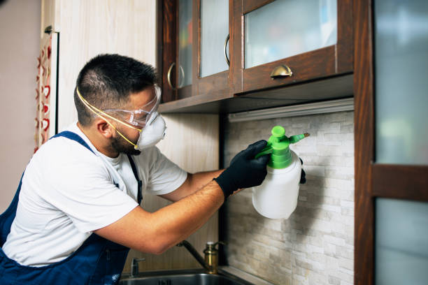Best Rat Extermination Near Me  in Clark Mills, NY