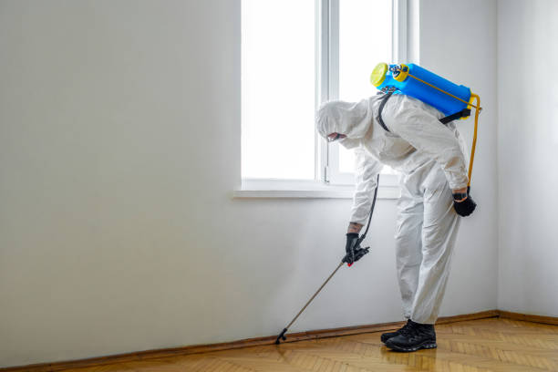 Best Best Pest Control Companies  in Clark Mills, NY