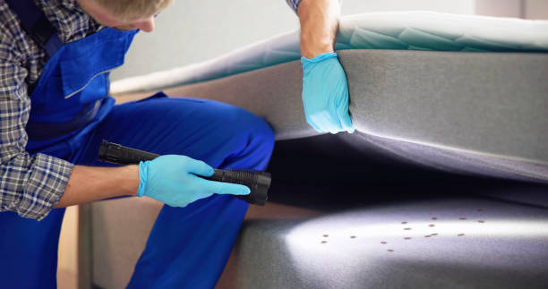 Best Commercial Pest Control Services  in Clark Mills, NY