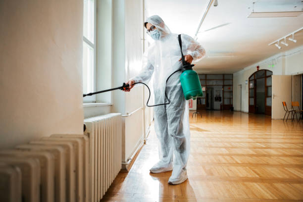 Best Residential Pest Control  in Clark Mills, NY