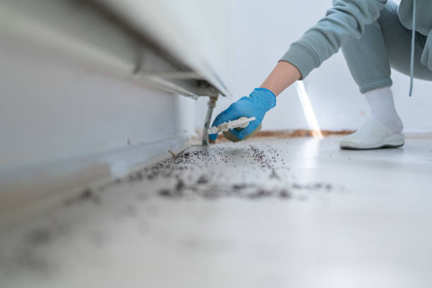 Best Pest Prevention Services  in Clark Mills, NY