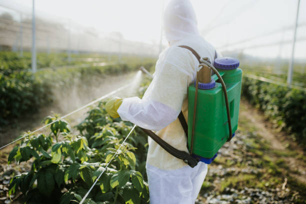 Best Pest Control for Businesses  in Clark Mills, NY